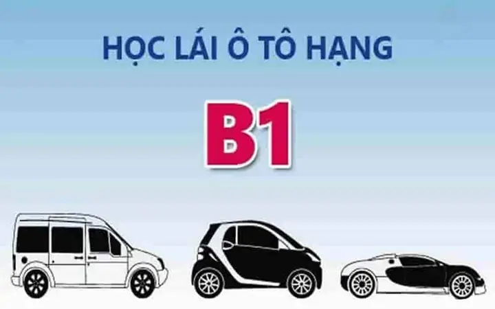Điều Kiện Và Thời Hạn Sử Dụng Bằng B1 Điều Kiện Và Thời Hạn Sử Dụng Bằng B1