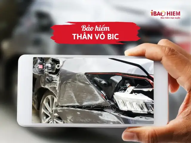 Bảo Hiểm Thân Vỏ Bic (06/01/2026) – Ibaohiem
