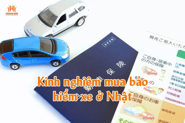 Kinh Nghiệm Mua Bảo Hiểm Xe Ở Nhật - Tokuteigino Kinh Nghiệm Mua Bảo Hiểm Xe Ở Nhật - Tokuteigino