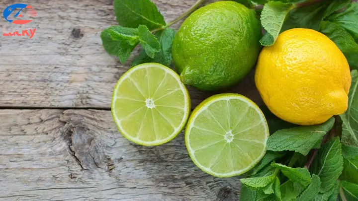 Cách Diệt Gián Trên Xe Ô Tô Hiệu Quả, Đơn Giản Tại Nhà