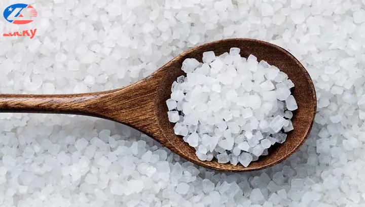 Cách Diệt Gián Trên Xe Ô Tô Sử Bằng Phèn Chua