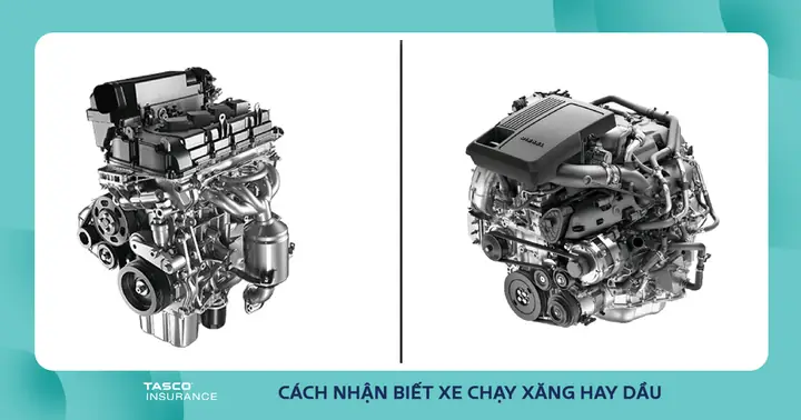 Hướng Dẫn Cách Nhận Biết Xe Chạy Xăng Hay Dầu Đơn Giản Hướng Dẫn Cách Nhận Biết Xe Chạy Xăng Hay Dầu Đơn Giản