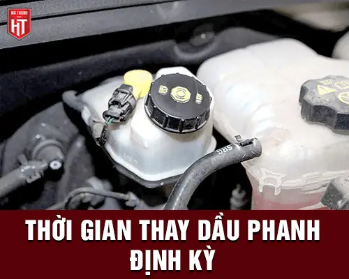 Dấu Hiệu Cảnh Báo Cần Thay Dầu Phanh & Cách Xử Lý Tại Nhà