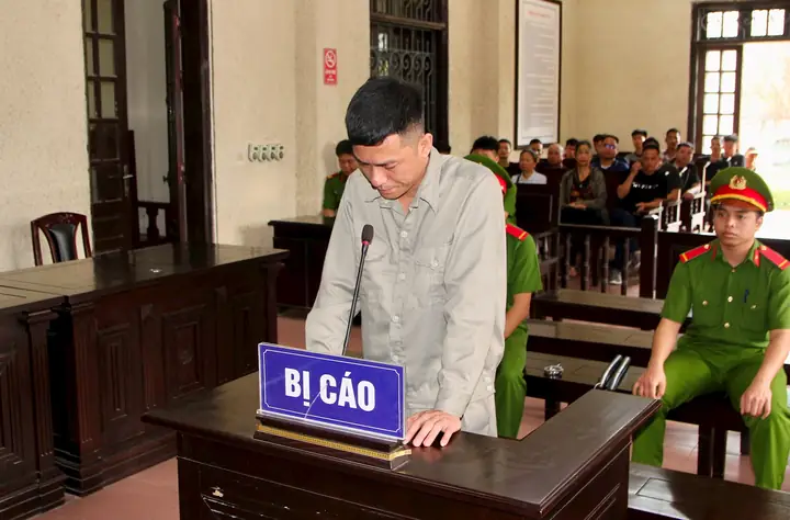 Lái Ô Tô Tông Chết Kẻ Trộm Mèo, Một Người Ở Tứ Kỳ Vướng Vòng Lao Lý Lái Ô Tô Tông Chết Kẻ Trộm Mèo, Một Người Ở Tứ Kỳ Vướng Vòng Lao Lý