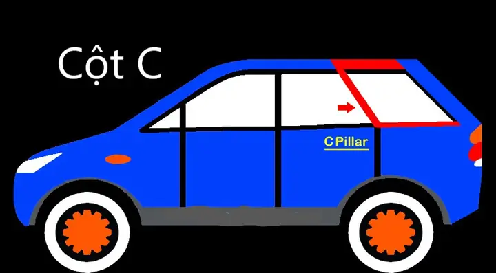 Cột C: