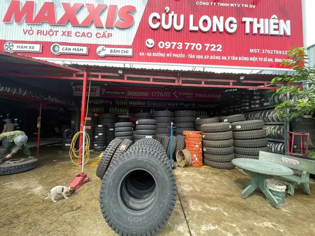 Ưu Điểm Nổi Bật Khi Lựa Chọn Cửu Long Thiên