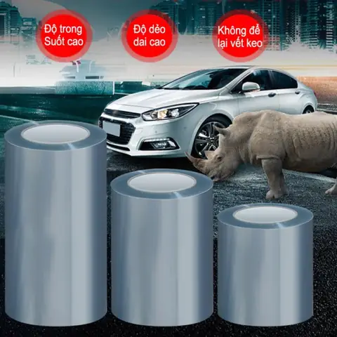 Một Số Loại Decal Trên Thị Trường Hiện Nay