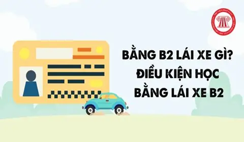 Bằng B2 Lái Xe Gì? Điều Kiện Học Bằng Lái Xe B2