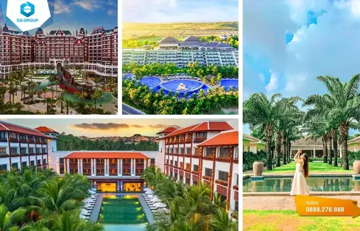 Độ Mang Cá Xe Ô Tô: Cẩm Nang Toàn Tập Cho Chủ Xe - Thiên ... Độ Mang Cá Xe Ô Tô: Cẩm Nang Toàn Tập Cho Chủ Xe - Thiên ...
