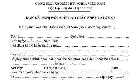 Mẫu Đơn Đề Nghị Cấp Lại Giấy Phép Lái Xe Do Bị Mất Hoặc Hết Hạn Sử ...