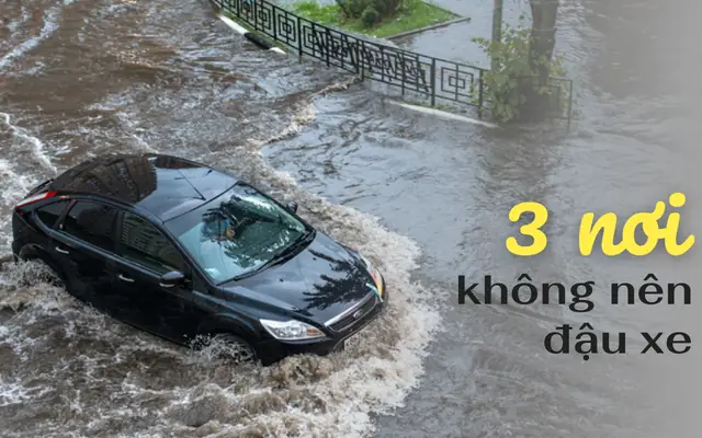 B/ Kỹ Thuật Đỗ Xe: