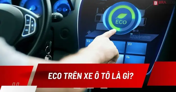 Eco Trên Xe Ô Tô Là Gì? Nguyên Lý Hoạt Động, Tính Năng, Vai Trò