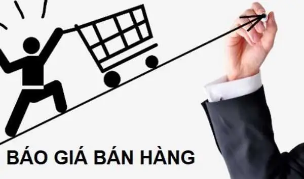 Mẫu Báo Giá Đẹp Và Chuyên Nghiệp Nhất Để Gửi Khách Hàng