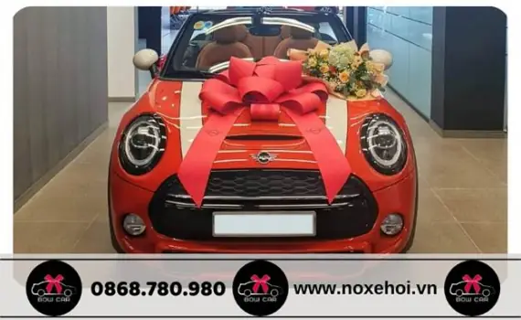 Dịch Vụ Làm Nơ Giao Xe Hơi Đẹp Cho Showroom Ô Tô