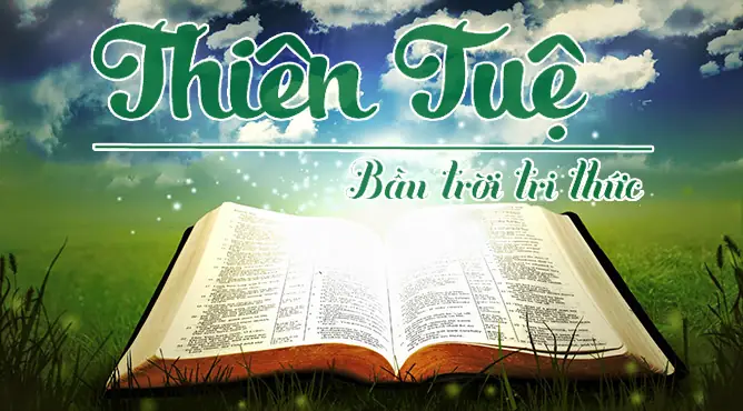 Mơ Thấy Nổ Lốp Xe Ý Nghĩa Gì Mơ Thấy Nổ Lốp Xe Ý Nghĩa Gì