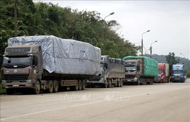 F/ Chở Đúng Tải Trọng, Đúng Kích Thước: