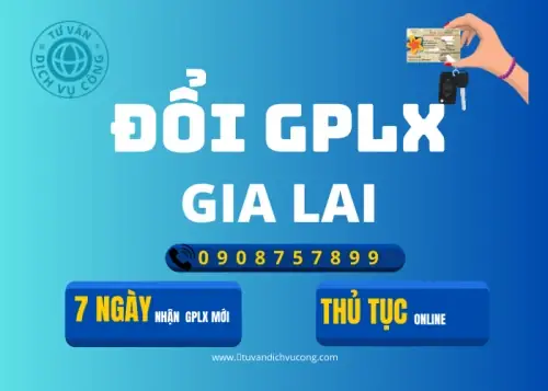 Dịch Vụ Đổi Giấy Phép Lái Xe Tại Gia Lai › Dịch Vụ Dịch Vụ Đổi Giấy Phép Lái Xe Tại Gia Lai › Dịch Vụ