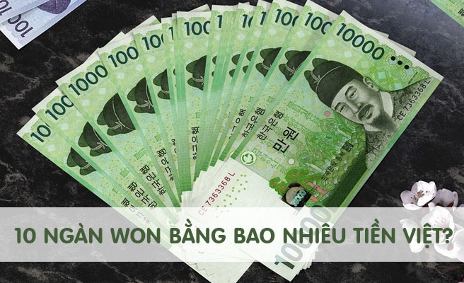 10.000 Won Bằng Bao Nhiêu Tiền Việt 2026: Cập Nhật Mới Nhất Tỷ giá 10000 won sang tiền Việt