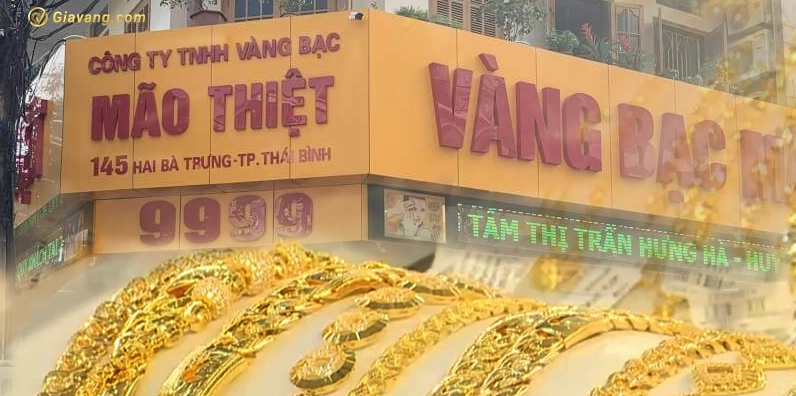 vang-mao-thiet-thai-binh-gia-1-chi-bao-nhieu-nam-2026_423