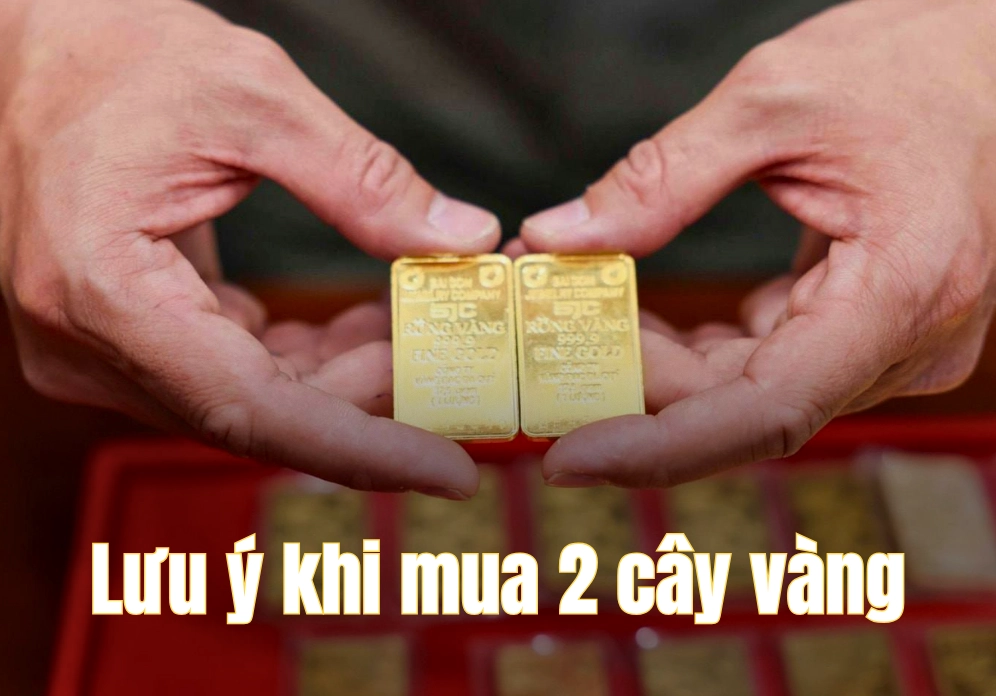 2-cay-vang-gia-ca-y-nghia-va-kinh-nghiem-au-tu-2026_121