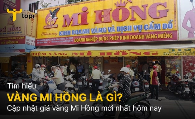 Giá Vàng Mi Hồng Sáng Nay 2026: Cập Nhật, Phân Tích & Dự Báo Xu Hướng Biểu đồ giá vàng biến động