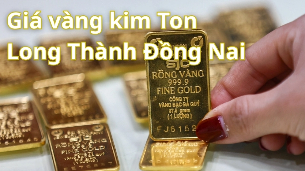 Giá Vàng Kim Tôn Hôm Nay 2026: Cập Nhật Mới Nhất & Dự Báo Biểu đồ giá vàng Kim Tôn hôm nay