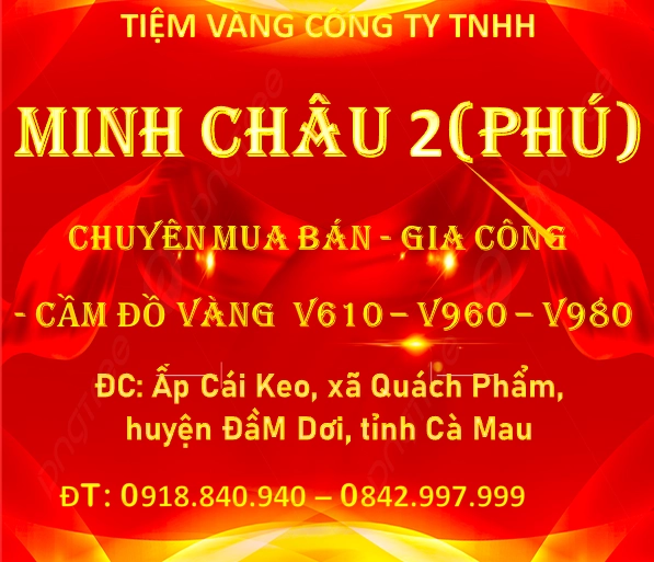 Giá Vàng tại Cà Mau 2026: Biến Động và Dự Báo Mới Nhất Biểu đồ giá vàng tại Cà Mau