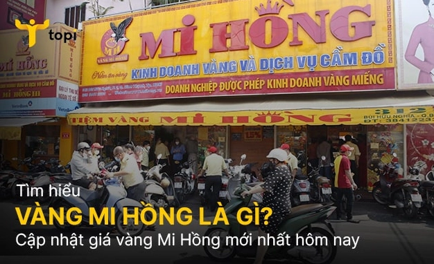 Mi Hồng Hôm Nay: Cập Nhật Giá Vàng Mới Nhất 2026 Biểu đồ phân tích yếu tố ảnh hưởng giá vàng