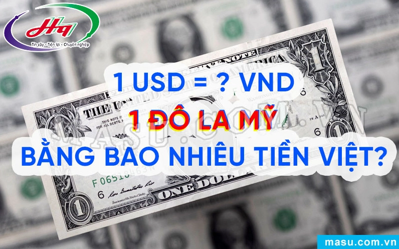 Biểu tượng tiền đô la Mỹ và tiền Việt Nam