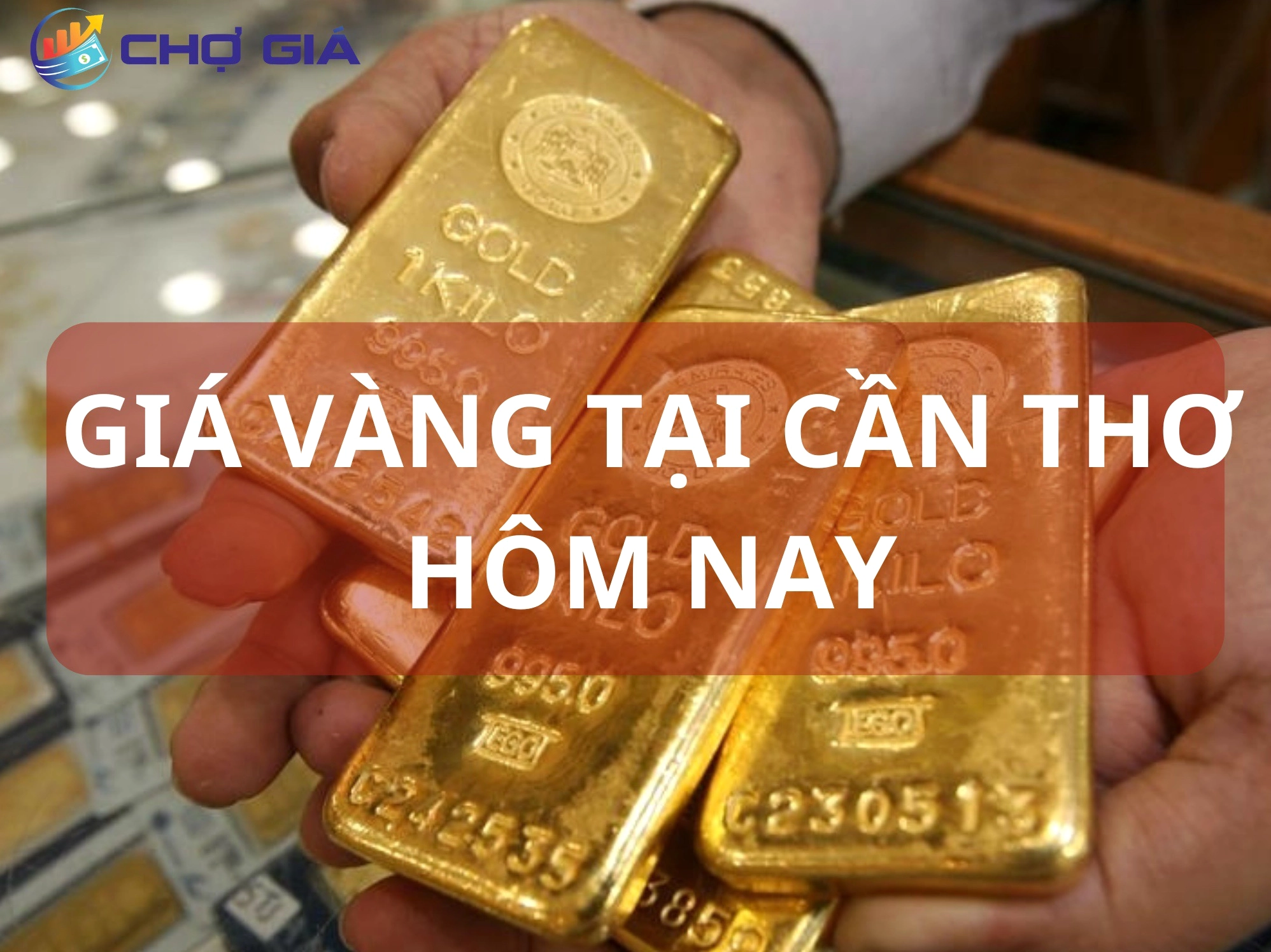 gia-vang-24k-hom-nay-tai-can-tho-cap-nhat-du-bao-2026_305