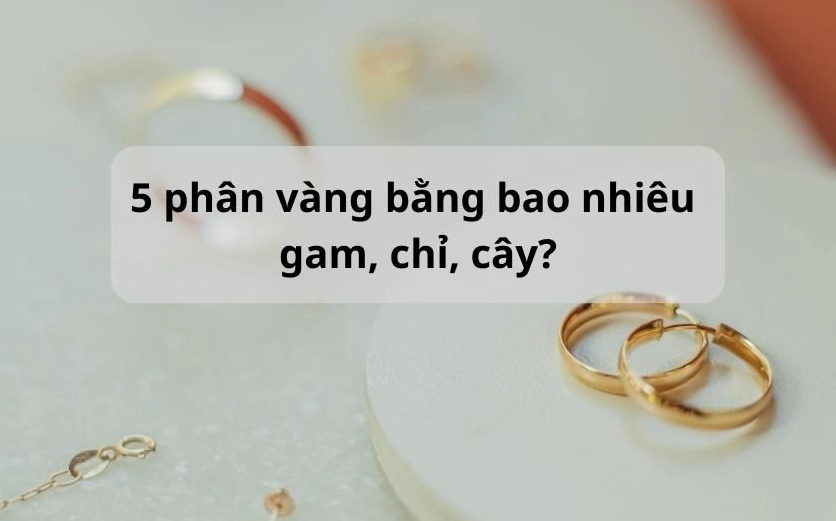 5 Phân Vàng 9999 Bao Nhiêu Tiền? Cập Nhật Giá Mới Nhất 2026 Giá vàng 9999 hôm nay