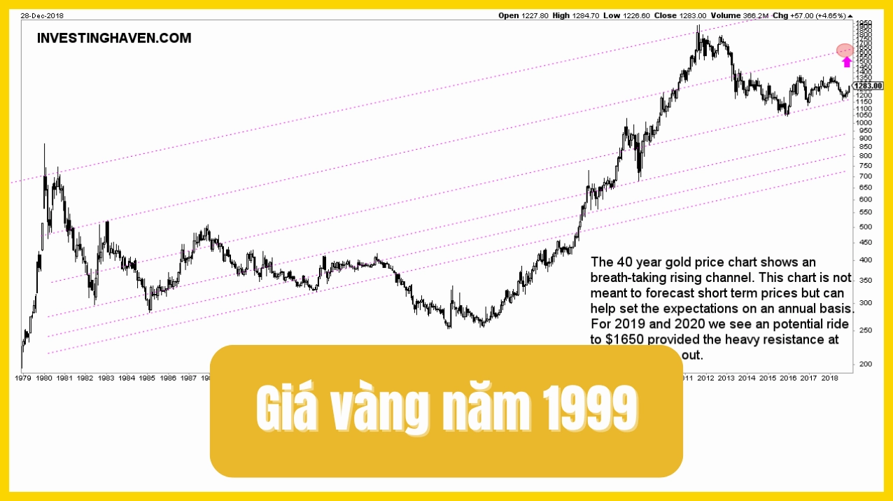 gia-vang-nam-1999-bien-ong-va-du-bao-2026_318