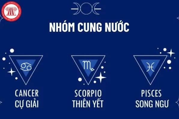 Giải Mã Cung Nước: Cung Nước Gồm Cung Nào và Đặc Điểm Nổi Bật (2026) Hình ảnh minh họa các cung hoàng đạo