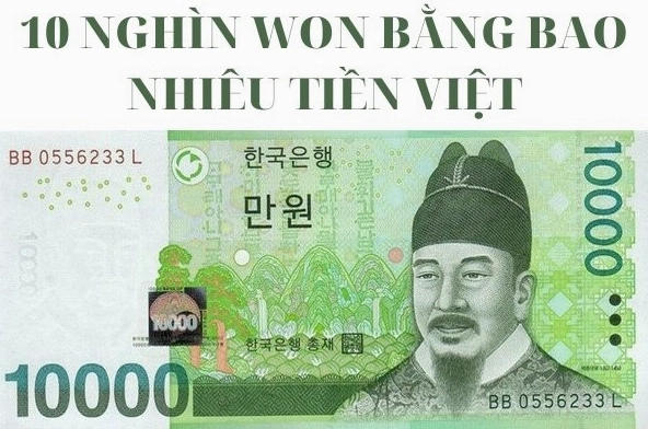 Minh họa các mệnh giá tiền Won Hàn Quốc và Đồng Việt Nam