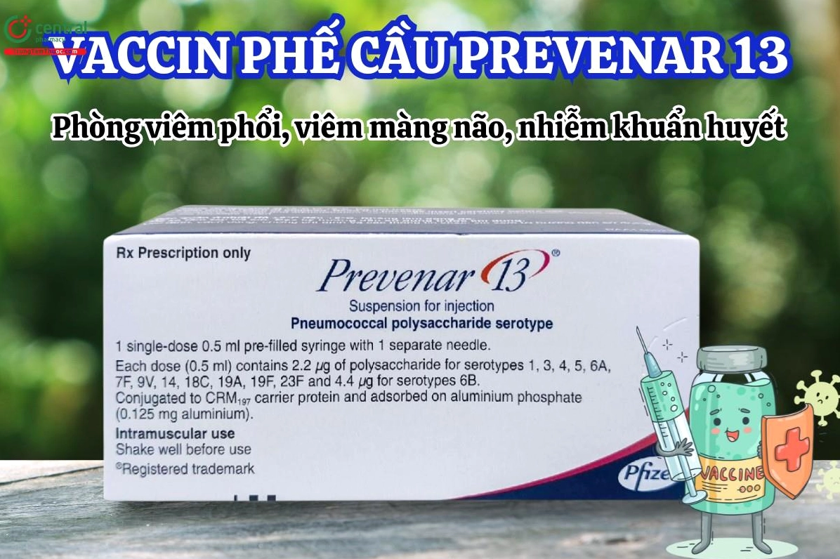 prevenar-13-cua-nuoc-nao-nguon-goc-thong-tin-chi-tiet-2026_756