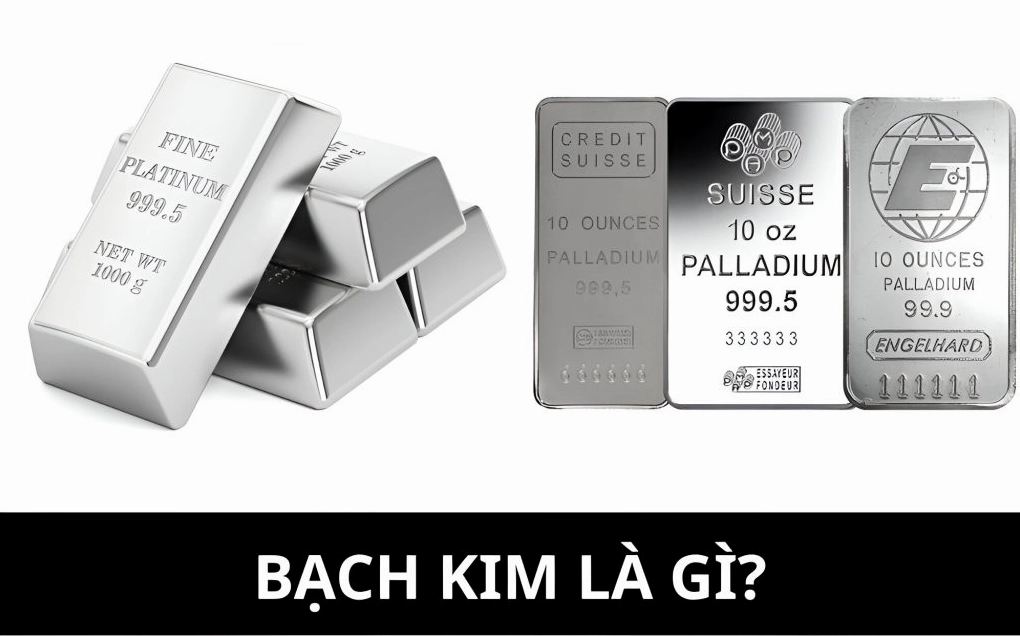 Giá Bạch Kim Hôm Nay: Cập Nhật Mới Nhất & Dự Báo 2026 Tìm hiểu về bạch kim