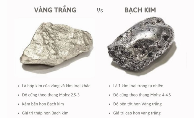 Vàng Trắng 10K Bao Nhiêu 1 Chỉ 2026? Cập Nhật Giá Mới Nhất Trang sức vàng trắng 10K tinh xảo